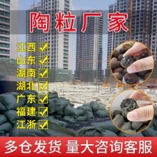 ���S��ֱ������������l���g���������p�|�ߏ�����r���ͽ��l؛