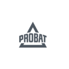  PROBAT ζ^V/U̎ P12Fȼ