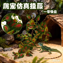 ����ˮ��ֲ�����x��B�����ֲ��ڒ첨˹�ڒ��ٗl�ٻ������b�