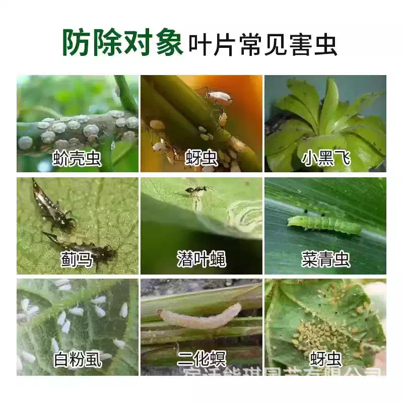 源头产家-家庭园艺通用-杀虫-防止破坏根系-适合各种植物-万虫清|undefined