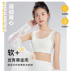 キャットガールブラジャー、高校2・3年生女子ベスト、10代女子発育下着、女子中学生