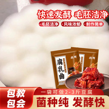 腐乳曲毛豆腐臭豆腐长白毛发酵菌豆豉毛霉菌粉家用霉豆腐自制批发