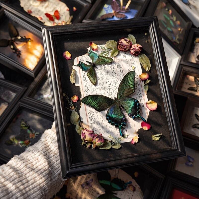 Butterfly specimen photo frame hollow three-dimensional empty frame display stand DIY handmade plant insect dried flower pine cone A4 display frame