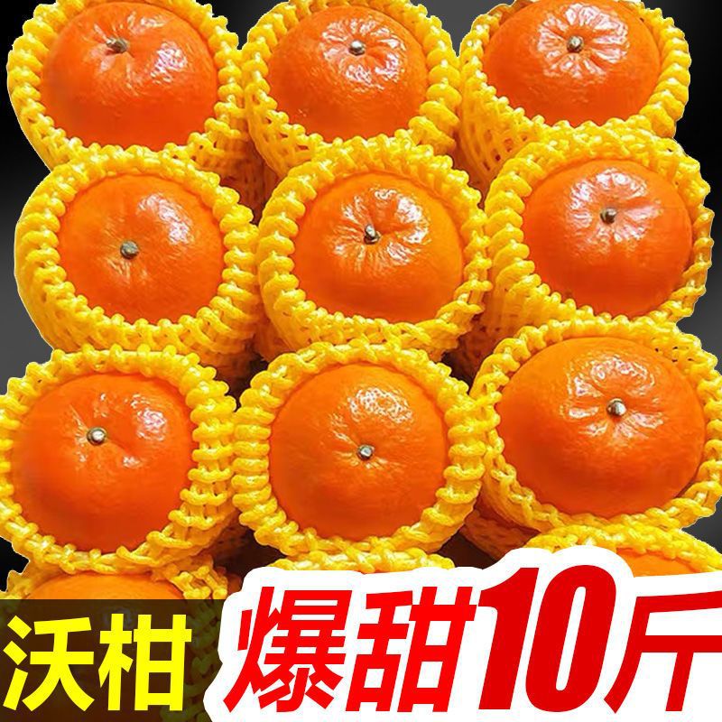 沃柑批发爆甜多汁新鲜水果非广西武鸣茂谷柑橘子2/5/10斤追剧零食