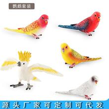 �羳�����w�����b[�����B��W�^ģ�̓�ͯ�ƽ��J֪�W���P�^�W�^