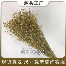 �ɻ���˼�����F��������S�����l������DIY��򻨲ļҾ��b���