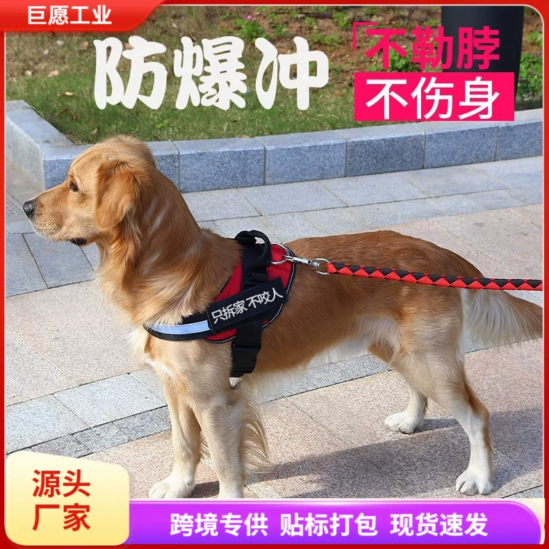 Собачий буксирный поводок с золотистым шерстяным ремешком лабрадора на груди маленький средний размер большой собаки выгуливает собачью веревку