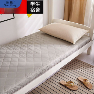 Mattress College Dormitory Single Soft Cushion Bedding Household Foldableable Tatami Mat Floor Rock Wood Free Shipping