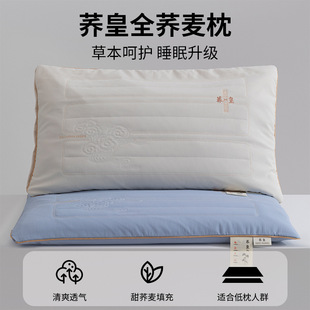Buckwheat Pillow with Whole Buckwheat Husk, Hard Pillow Core, Antibacterial, Full Cotton Knitted Surface, Sleep Buckwheat Pillow Core