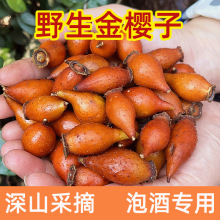 ҰɽrݾɽʯɽժǹӽӴ؛