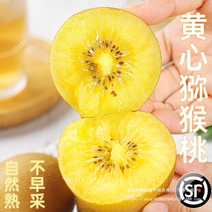 �Ĵ��S�īJ�����殐�����r���������rˮ���ЋD�Fժ���䏛���Ұ��]