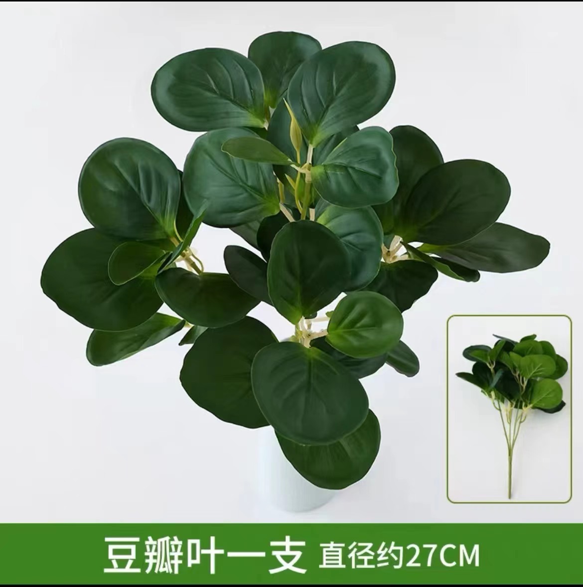 Douban leaves