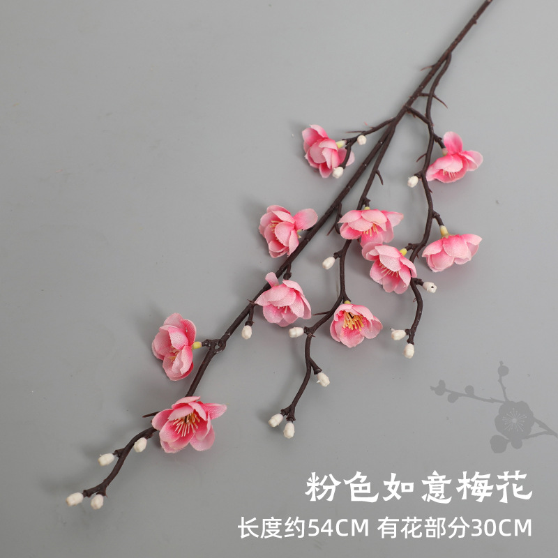 핑크 루이 매화