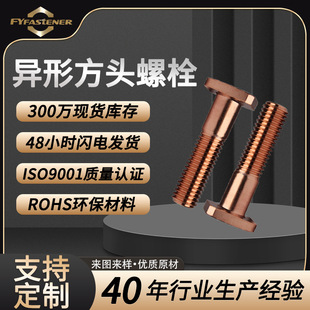 ���Ʒ��^��˨ ���~T2�ķ���˨������˨ �ķ��^��˨ ���L���^��˨