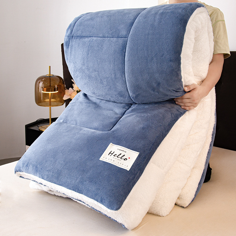 Mayorista 10 kg de cashmere más edredón de leche edredón de invierno núcleo de edredón de invierno grueso calentamiento de invierno estudiantes individuales 8 image 3