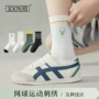 薄款抗菌夏季学生中筒袜