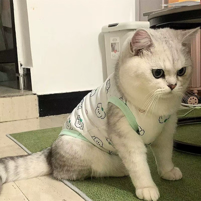 Весенне-летняя новая одежда для кошек, домашняя одежда, жилеты для собак, безрукавки для домашних животных с защитой от выпадения, золотой градиент, молодые молочные кошки