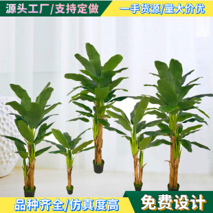 ����Ž�����;Gֲ�㽶�����Է���ֲ�﹤�Sֱ���҃����ֲ�����