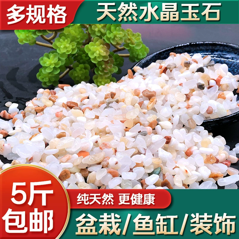 Натуральные хрустальные камни и мясистые горшки для каменных цветочных горшков