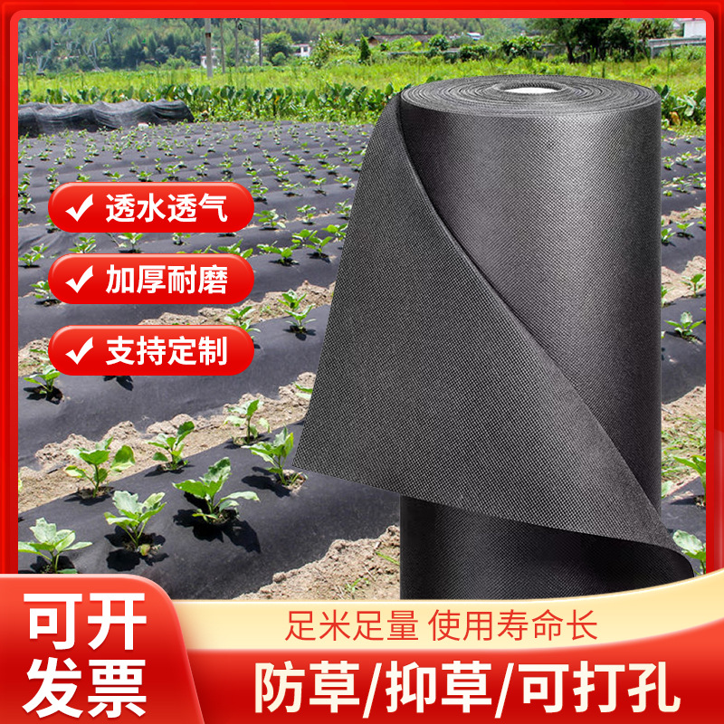 厂家生产批发亲水性黑色打孔无纺布保温防草农用有孔PP无纺布