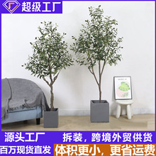 ���W���ͷ���ֲ��ins�W�t�ϙ��Gֲ�҃ȴ�̨�٘���ؼ����Ԕ[��