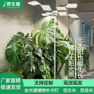 Plant Fill Light Imitates Sunlight Full Spectrum Flower Hot Planting Succulent Indoor Floor-Standing Plant Growth Light with Timing