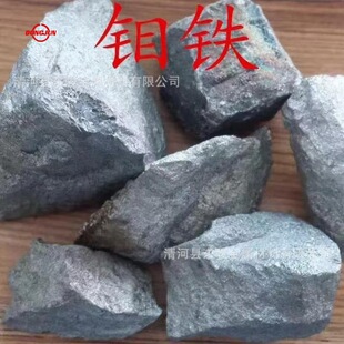 �S��ֱ�N ��ѳ��f�F  60�f�F   �����F؛