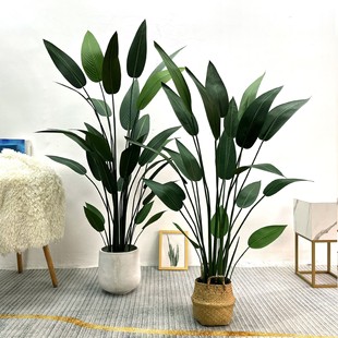 Wط˽҃bB[GֲԼֲ͏d