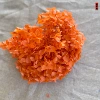 Dark orange