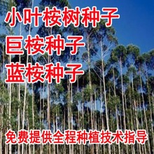 �²��N�����N�� �������N�� ����� С�~���N�� ���@�е���