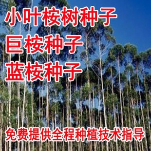 �²��N�����N�� �������N�� ����� С�~���N�� ���@�е���