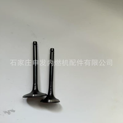 Valves and components intake valve 1371154020