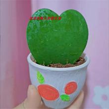 һƬ�Ķ����҃��������^Ȥζ���B��ݗ�����~���m�ļ����G��������