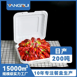 一次性餐盒;一次性碗碟;外卖餐饮包装