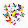 Three dimensional realistic fridge magnet with butterfly on wall, decorations, art decoration PVC, sticker, in 3d format