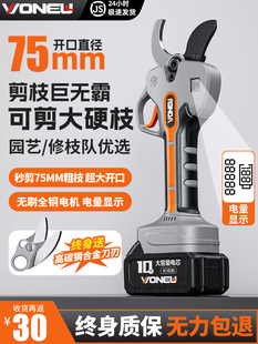 늄���֦���ֳ�ʽ����֦���䌣���늼����ʽ늼��Ӽ�����֦����