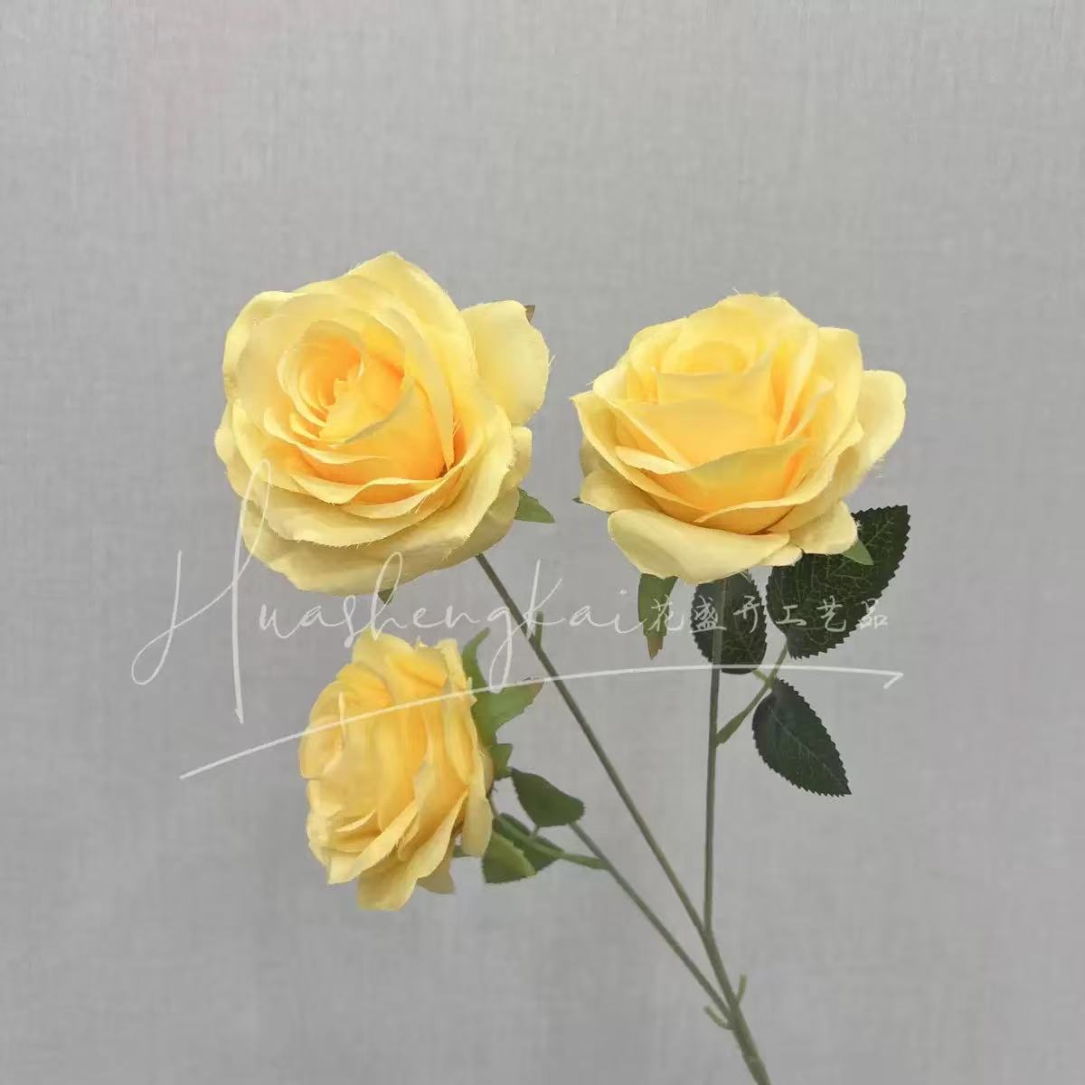 3명의 연인 장미