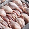 quail Large fresh Quick-freeze White strip barbecue Fried Independent One piece wholesale Manufactor