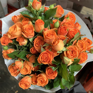 Long Rose Rose Bubble Lily Yunnan Base Sunflower Flower Bouquet City Express Factory Clearance