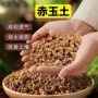 家用兰花赤玉土赤玉土