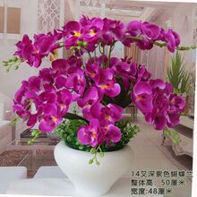 ���滨��������m���Լٻ��͏d���Ҕ[�Ż�ˇ�b����ϻ��ɻ�����