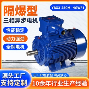 ����늚����YBX3-250M--4GWF1���������ஐ��늙C����늙C