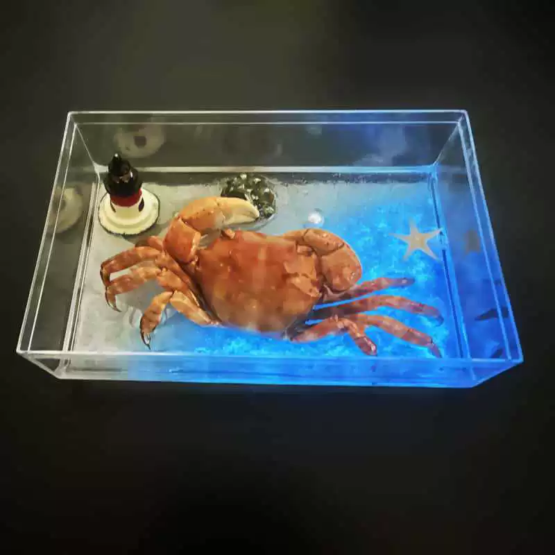 Креативные трехмерные декорации для плавания, 3D, подарок на день рождения, оптом