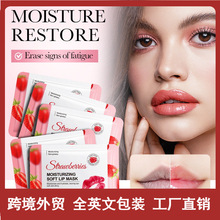 全英文FAYANKOU草莓滋润唇膜保湿水晶唇膜淡化唇纹去死皮外贸跨境