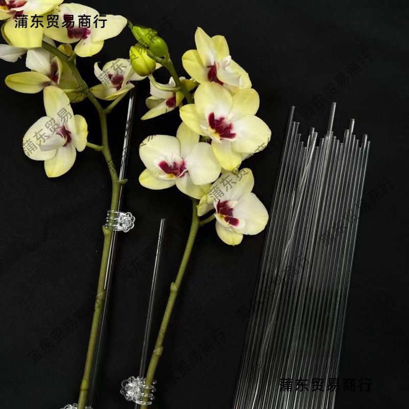 투명한 아크릴 보이지 않는 원예 지원 바 호접란 난초 스탠드