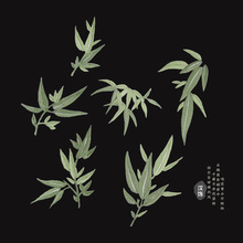 竹叶补丁刺绣图案布贴熨烫款可手缝中式衣服贴布竹子装饰绣花贴