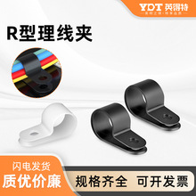 R�������A늾��侀�̶������Ϲ̶���|늾����۾��۹̶��A�����A