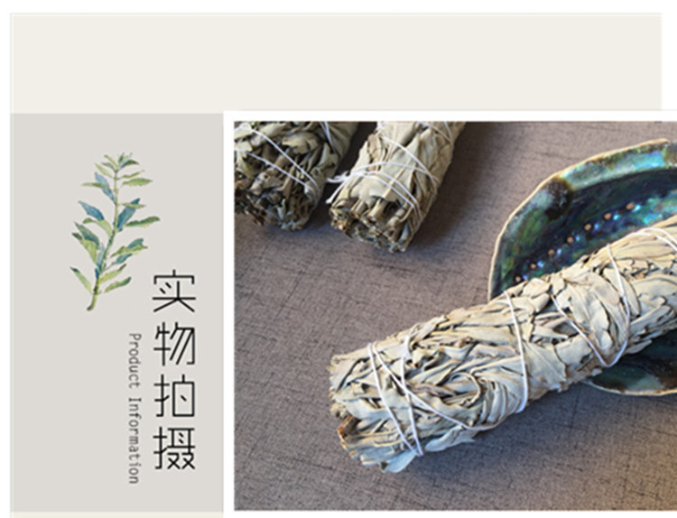 澳洲白鲍鱼贝壳大海螺创意家居摆件烧鼠尾草容器观赏鱼缸盆栽装饰 图 17