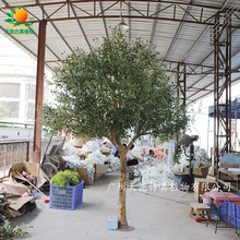 仿真橄榄树室内酒店大堂落地装饰人造仿生橄榄树真树杆假树造景