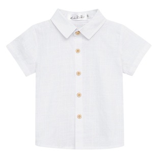 Summer Children's short-sleeved shirt children's clothing one-piece delivery boy's lapel white shirt bottoming Korean style children's clothing